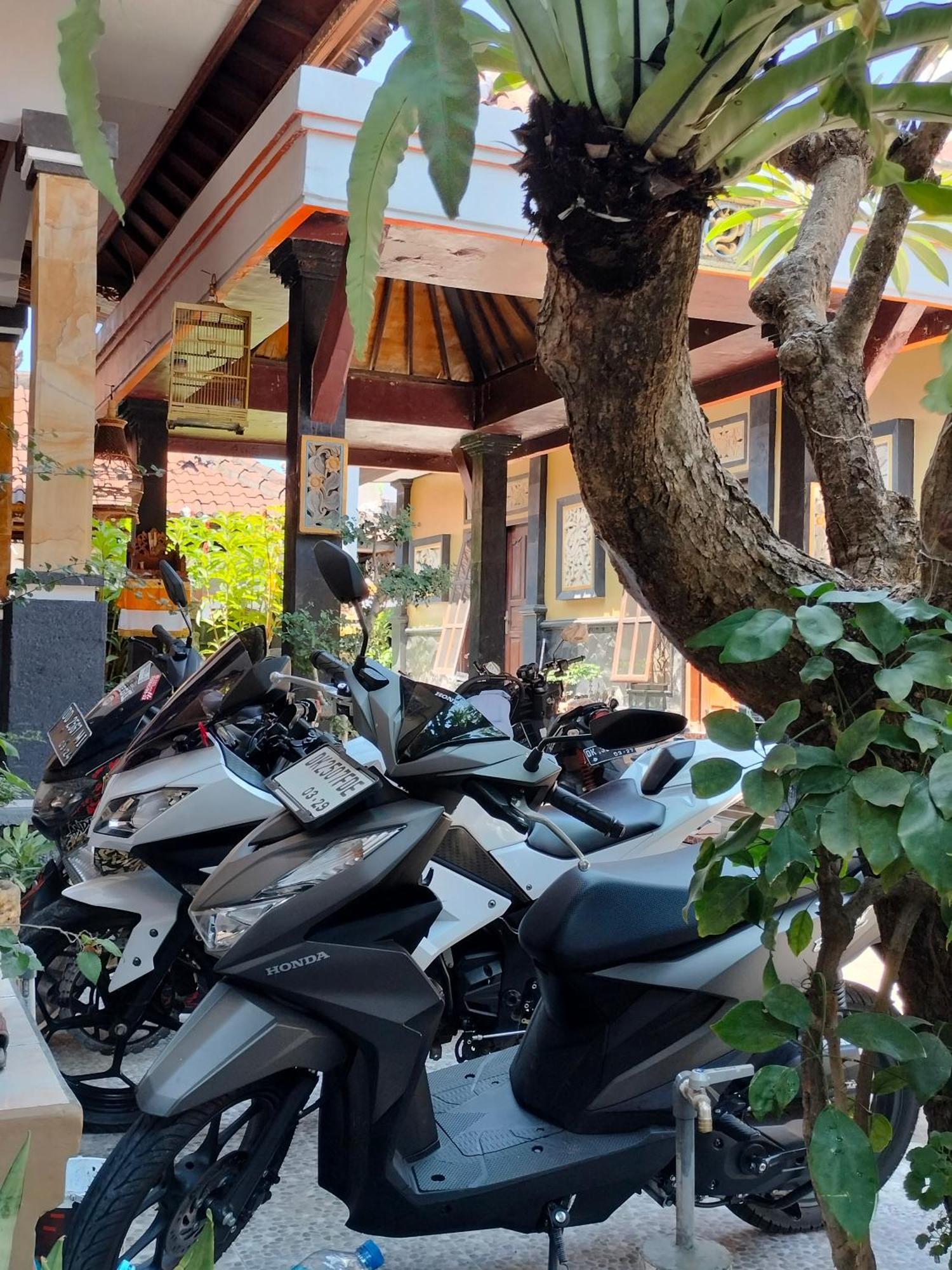 Tirtasuci House Otel Kuta Lombok Dış mekan fotoğraf